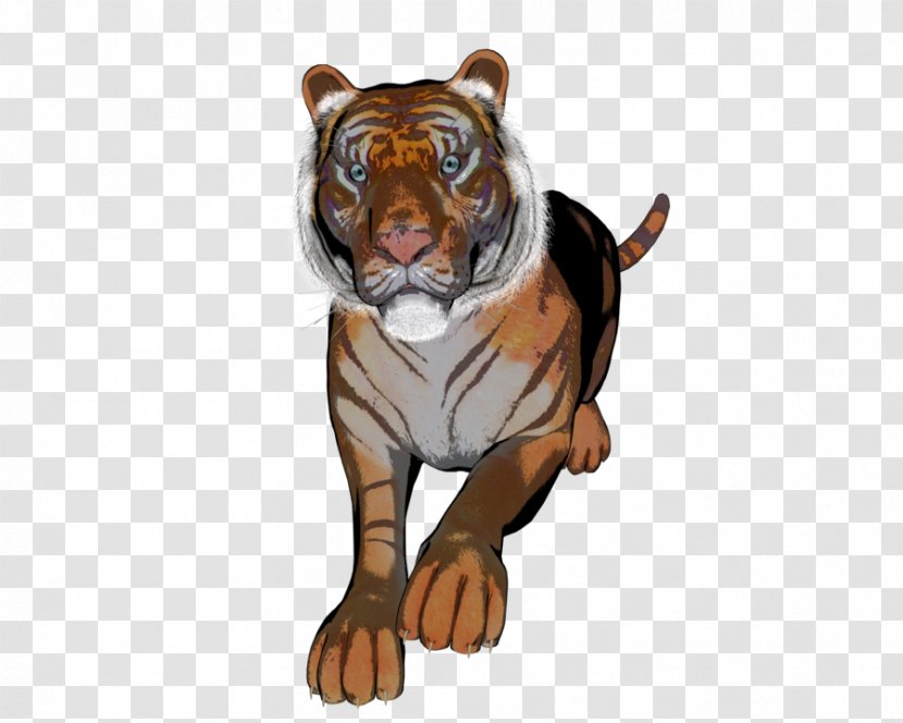 Tiger Lion Dog Canidae - Cat Like Mammal Transparent PNG