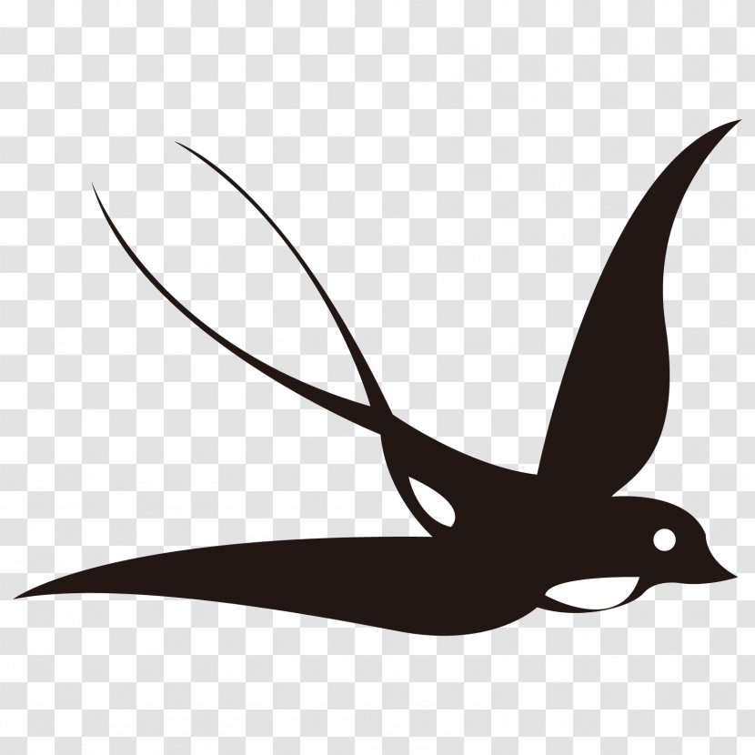 Swallow Bird Illustration Image Vector Graphics - Pollinator Transparent PNG