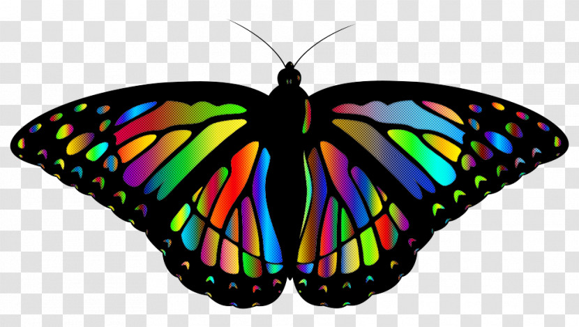 Monarch Butterfly Transparent PNG