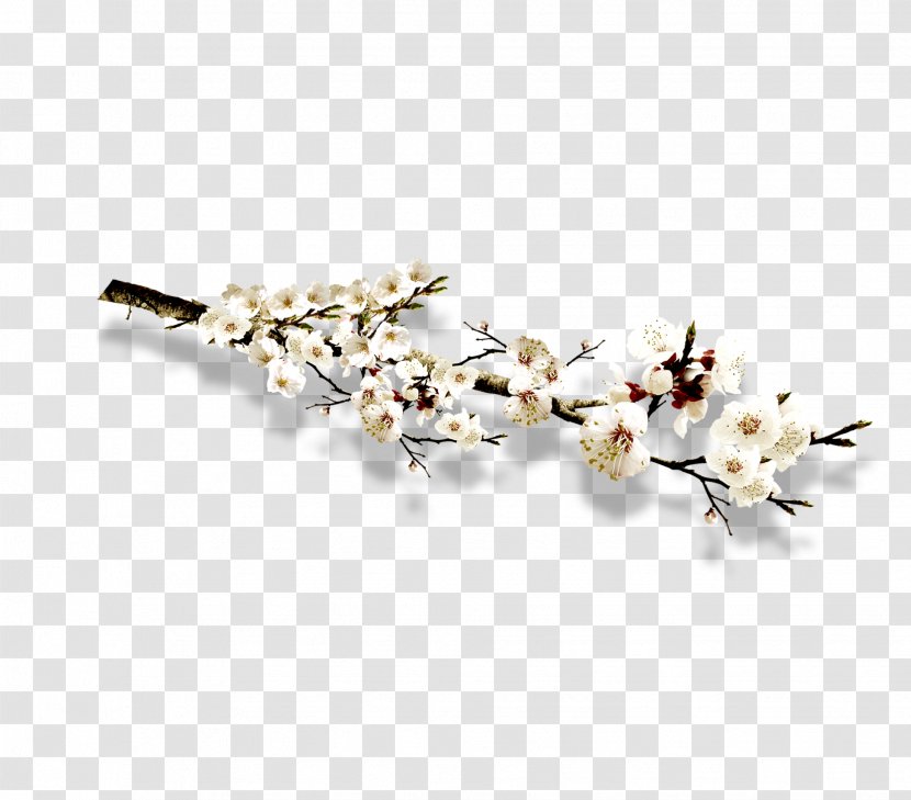 Download Icon - Body Jewelry - White Plum Branch Transparent PNG
