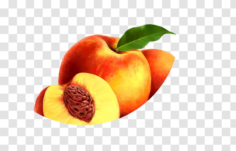 Peach Fruit Clip Art - Orange - Creative Transparent PNG