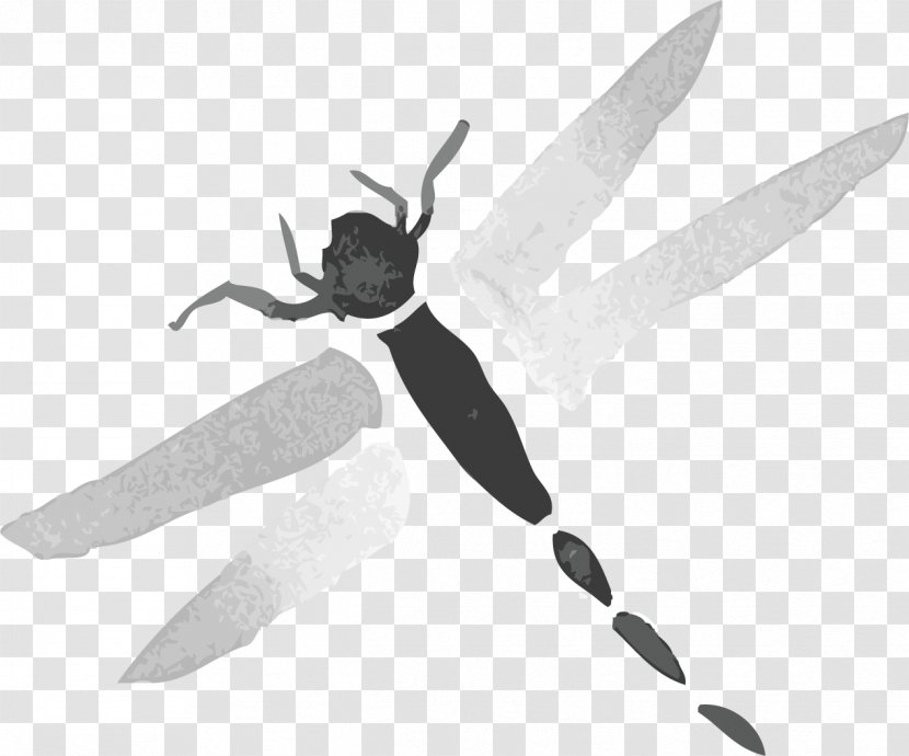 Dragonfly Euclidean Vector - Element - Hand-painted Ink Transparent PNG