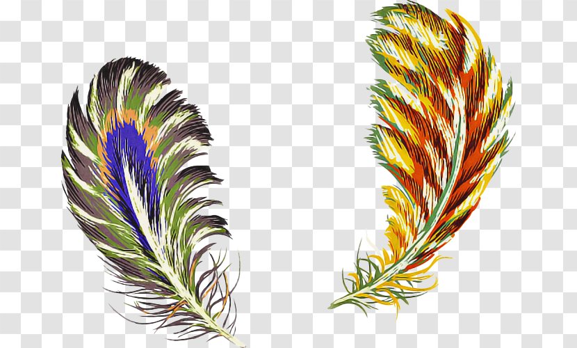 Feather - Natural Material - Flower Transparent PNG