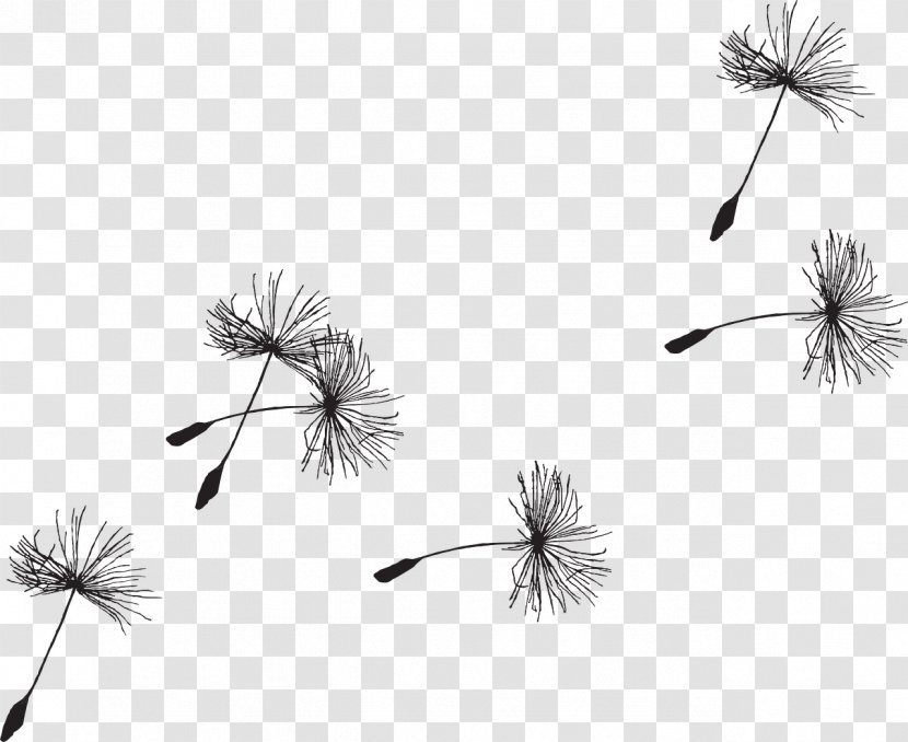 Seed Common Dandelion Clip Art - Membrane Winged Insect - Bird Watercolor Transparent PNG