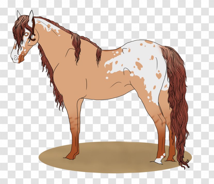 Mane Mustang Stallion Mare Colt Transparent PNG