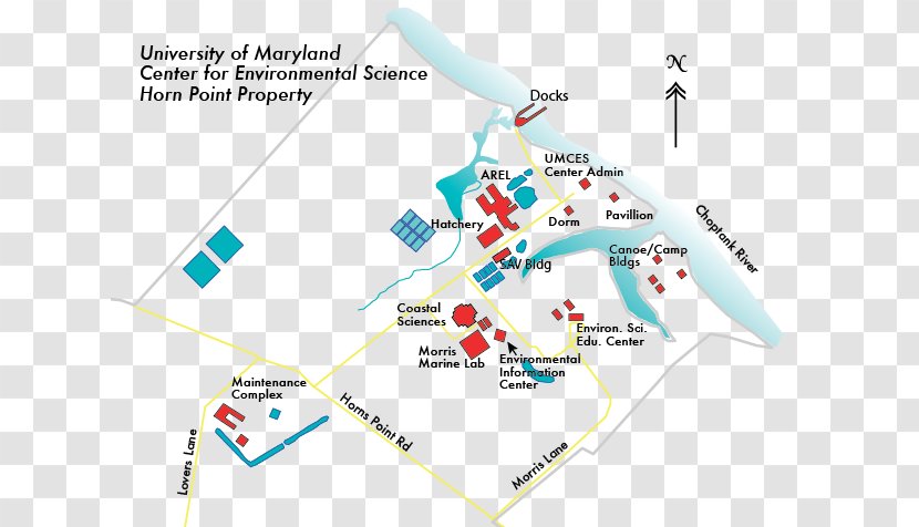 Cambridge University-Md Horn Point Lab Map Chesapeake Biological Laboratory - Area - Campus Environment Transparent PNG