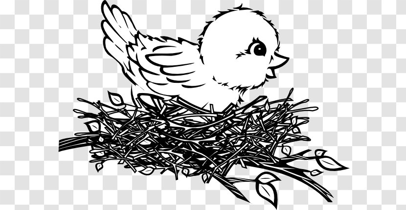 Bird Nest Drawing Clip Art - Cliparts Transparent PNG