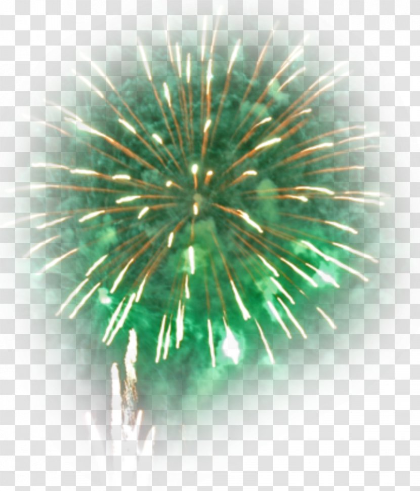 Fireworks Bû New Year Blog - Sponsor Transparent PNG