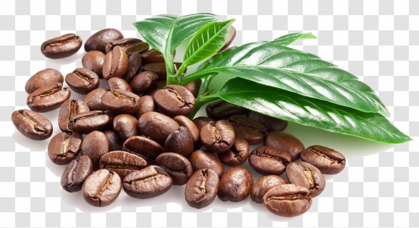 Coffee Bean Espresso Caffxe8 Macchiato - Jamaican Blue Mountain - Beans Image Transparent PNG