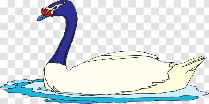 Cygnini Duck Goose Bird Clip Art Transparent PNG