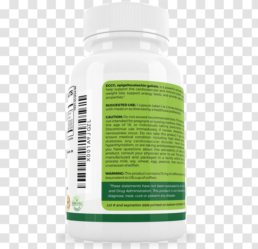 Green Tea Epigallocatechin Gallate Dietary Supplement Weight Loss - Cardiovascular Disease - Slimming Transparent PNG