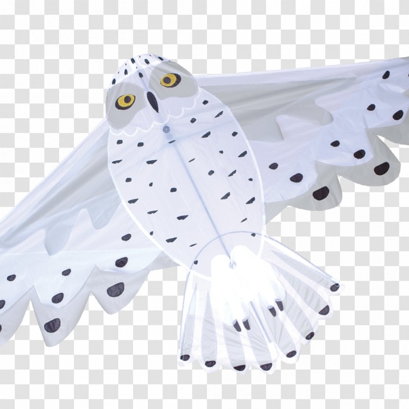 Owl Sport Kite Box Toy - Line Transparent PNG