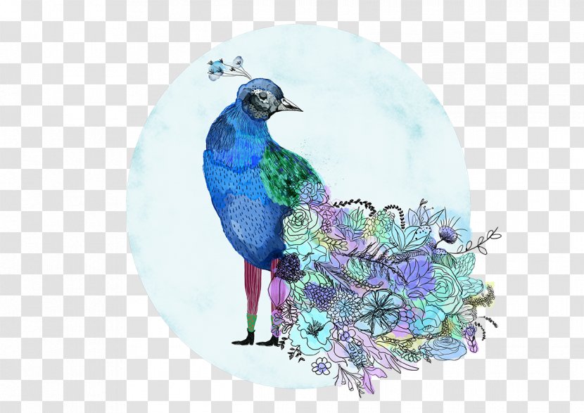 Beak Blue Jay Feather - Van Der Pauw Transparent PNG