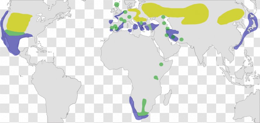 Grebes Of The World Black-necked Grebe Map Little - Blacknecked Transparent PNG