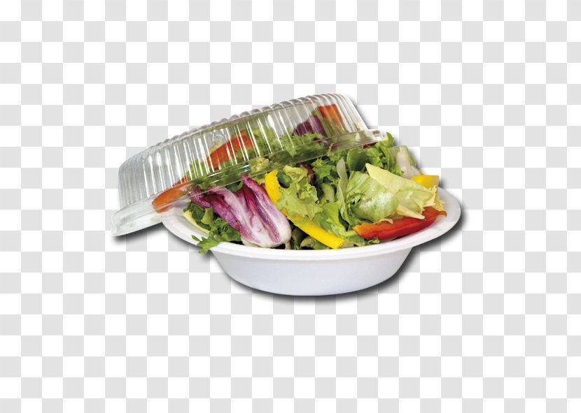 Salad Vegetarian Cuisine Recipe Leaf Vegetable Garnish - Platter Transparent PNG