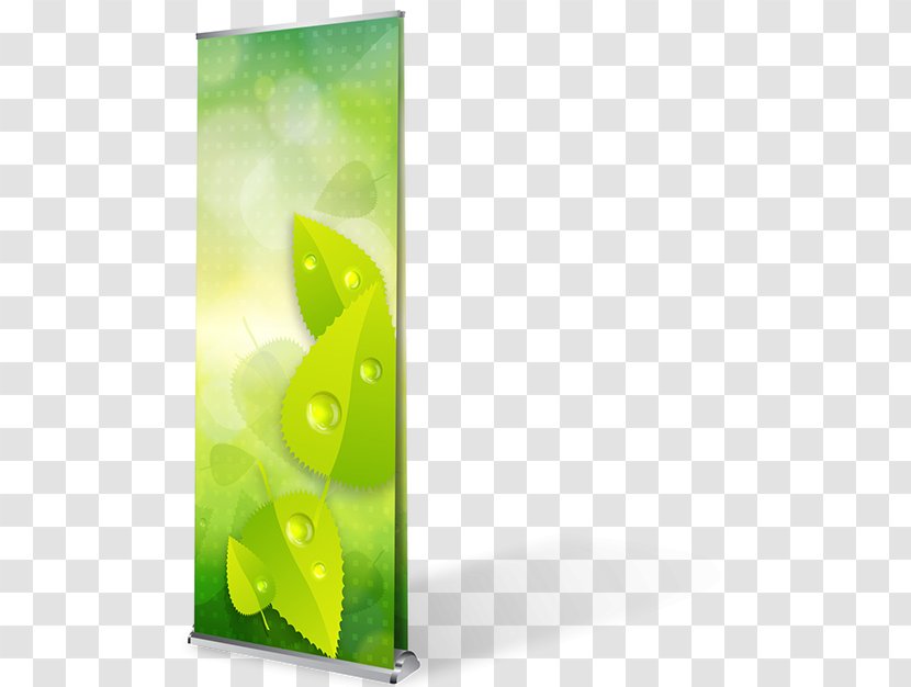 Rectangle - Green - Roll Up Stand Transparent PNG