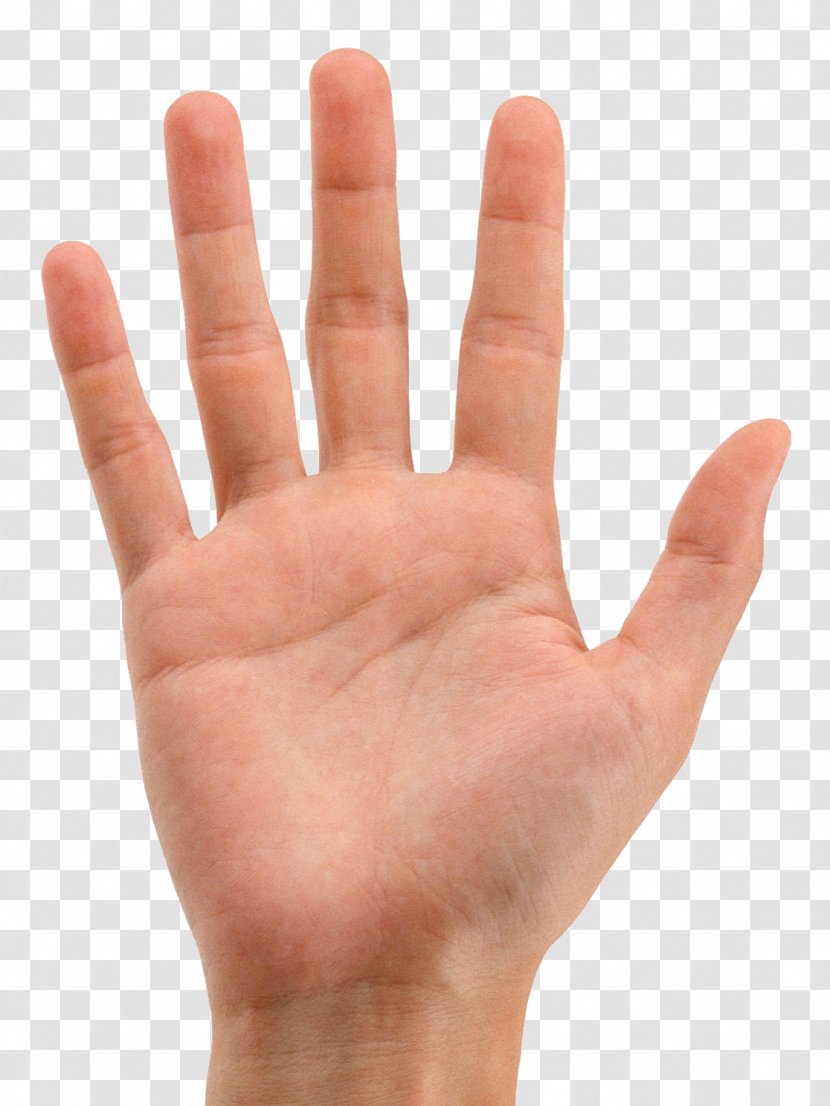 Finger Hand Digit Line - Mao Transparent PNG