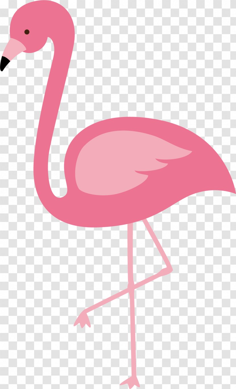 Flamingos Bird Euclidean Vector - Autocad Dxf - Red Flamingo Transparent PNG