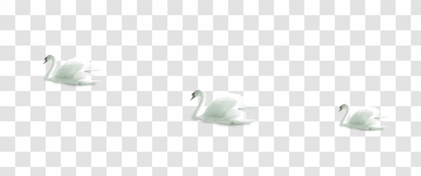 Paper White Pattern - Rectangle - Swan Transparent PNG