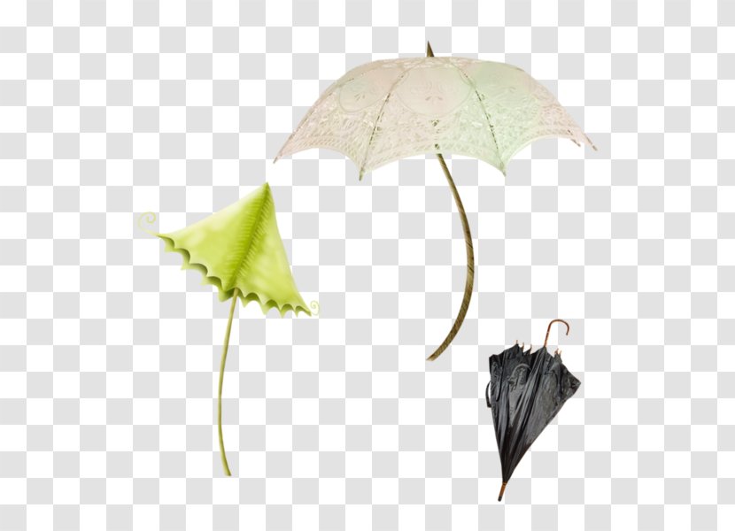 Umbrella Email Download Clip Art - Form An Transparent PNG