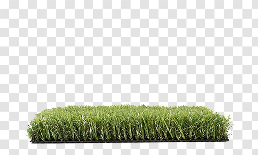 Lawn Deshevaya Dostavka Kur'yerom Po G. Minsku I Rb. Kur'yerskaya Sluzhba. Ekspres Интернет-магазин стройматериалов Pan.by Artificial Turf Internet - Shop Transparent PNG