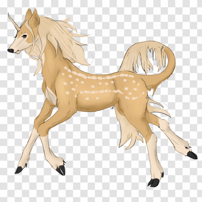 Mustang Pony Deer Pack Animal Fauna Transparent PNG