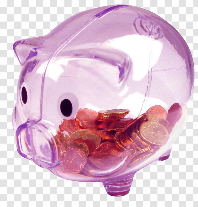 Piggy Bank Child Color Plastic TOUR 2017-2018 Transparent PNG