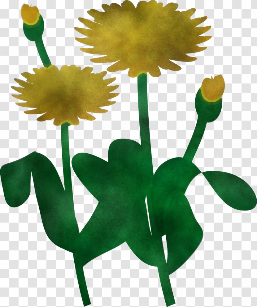 Dandelion Transparent PNG