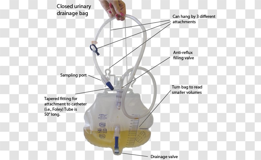 Urine Collection Device Foley Catheter Urinary Catheterization - Tree - Opposite Of Transparent Transparent PNG