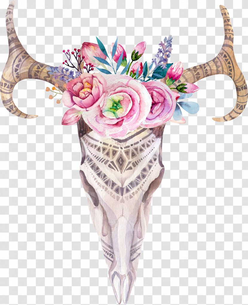 Boho-chic Skull Watercolor Painting Photography - Deer Transparent PNG