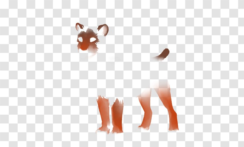 Whiskers Cat Dog Snout Computer Mouse - Mammal Transparent PNG