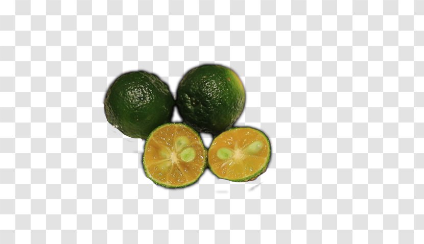 Persian Lime Tangelo Key Volkamer Lemon - Citrus Japonica - Xiaoqing Kumquat Transparent PNG