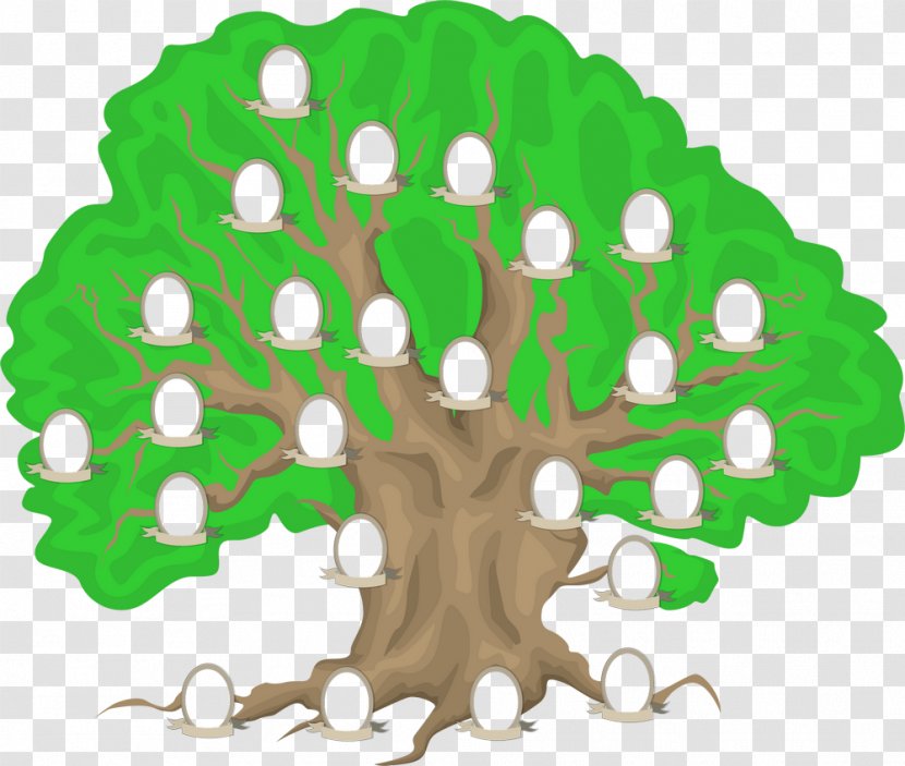 Family Tree Genealogy Painting - Woody Plant Transparent PNG
