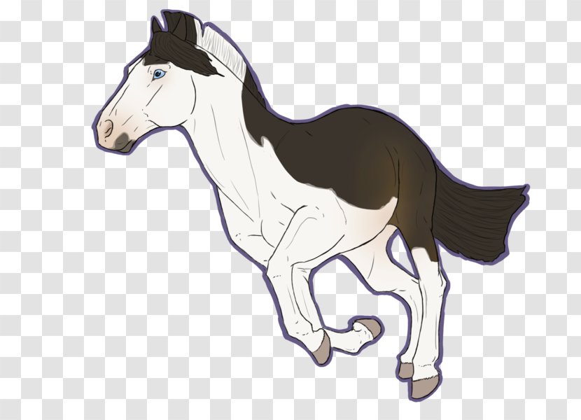 Mule Foal Donkey Mustang Halter - Horse - Atat Poster Transparent PNG