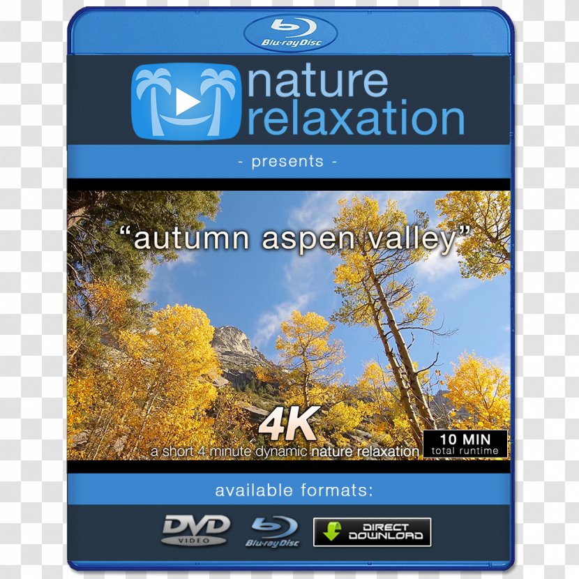 4K Resolution 1080p Ultra-high-definition Television Display - Cartoon - New Autumn Products Transparent PNG