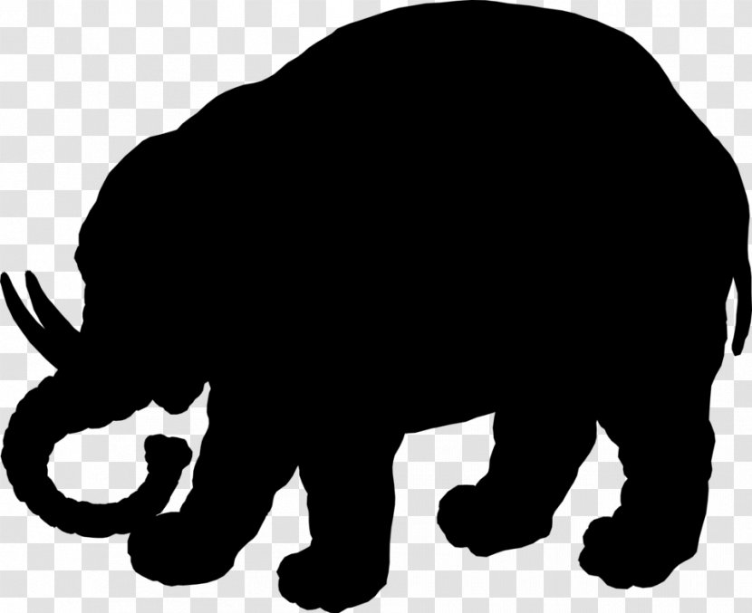 Indian Elephant African Mammal Bear Dog - Asian Transparent PNG