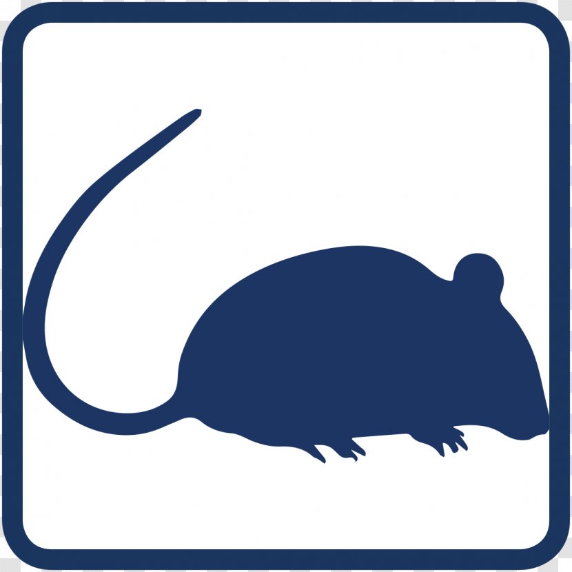 Mouse Rodent Black Rat Clip Art - Animal Transparent PNG