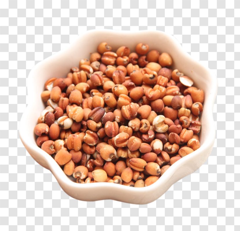 Adlay Cereal Food Tmall Lentil - Coix Lacrymajobi - Red Barley Rice Image Transparent PNG