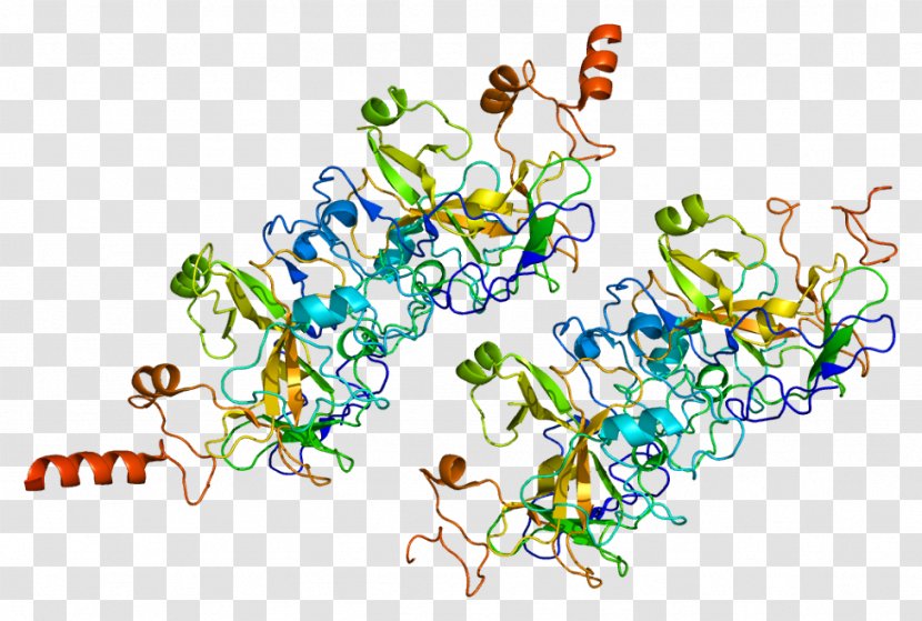 EHMT2 Histone Methyltransferase Epigenetics - Text Transparent PNG