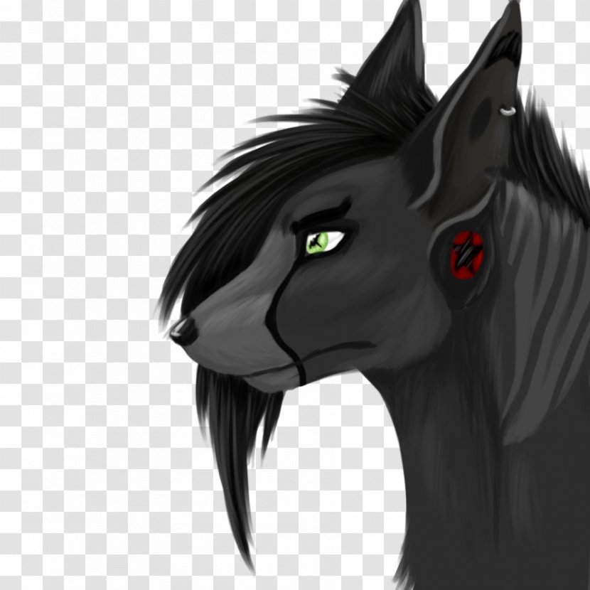 Whiskers Mustang Cat Pony Demon - Horse Transparent PNG
