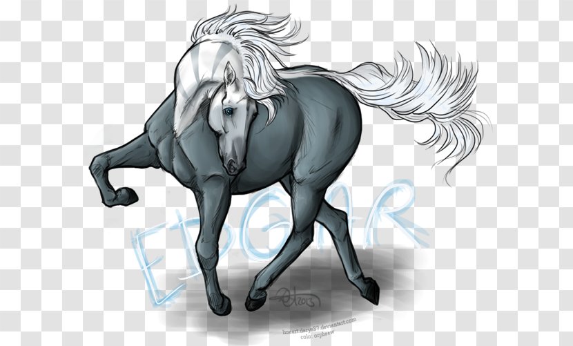 Mustang Stallion Unicorn Pack Animal Halter - Legendary Creature Transparent PNG