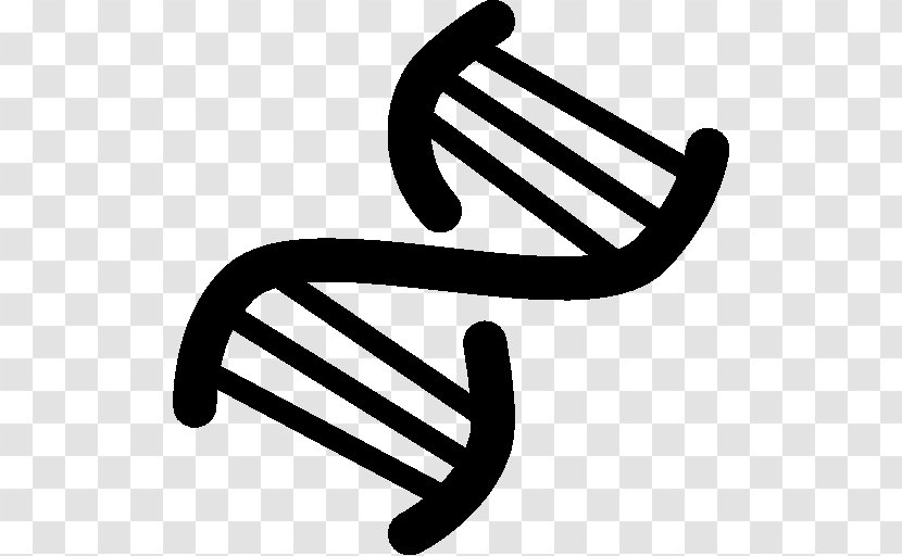 DNA Nucleic Acid Double Helix Clip Art Transparent PNG