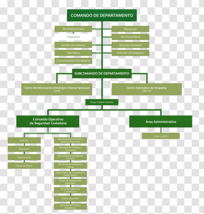 National Police Corps Organizational Chart Cauca Department Departments Of Colombia - Internal Affairs - Grams Transparent PNG