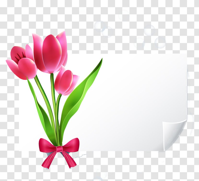 Greeting Card Wedding Invitation YouTube E-card - Pink - Tulips Decorative Blank Paper Transparent PNG