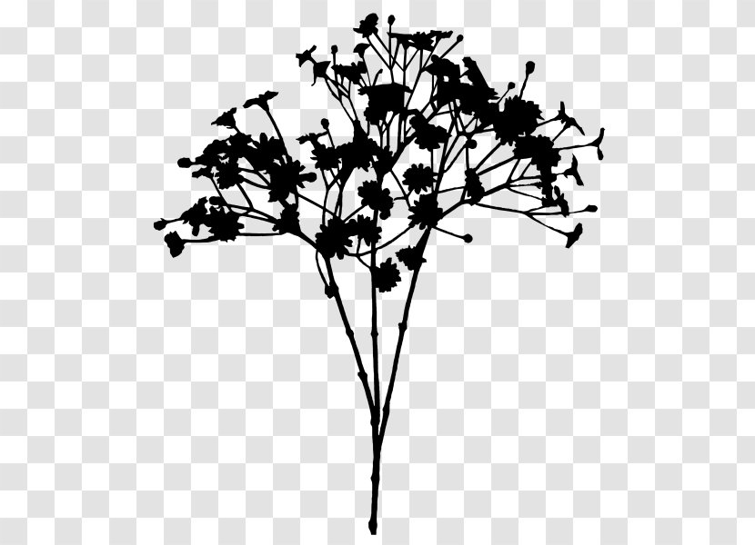 Flower Plant Stem Leaf Font Line - Twig - Woody Transparent PNG
