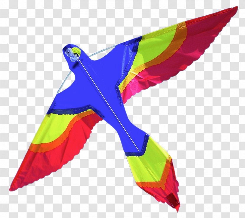 Man-lifting Kite Sport Chinesenfasching Clip Art - Macaw - Manlifting Transparent PNG