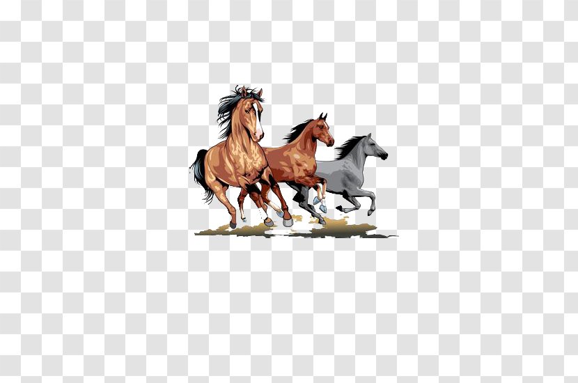 Mustang Stallion Wild Horse Clip Art - Brown Transparent PNG