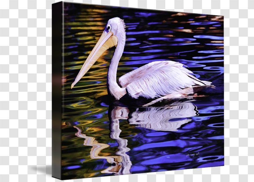 Pelican Bird Crane Painting Beak Transparent PNG