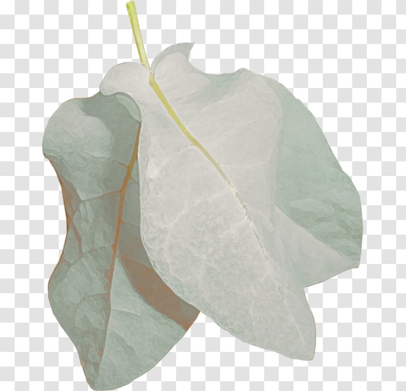 Leaf Clip Art - Petal Transparent PNG