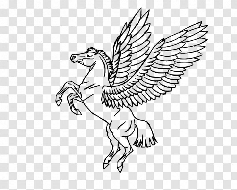 Pegasus Coloring Book Flying Horses Unicorn - Organism Transparent PNG